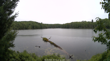Image from 2025-06-25