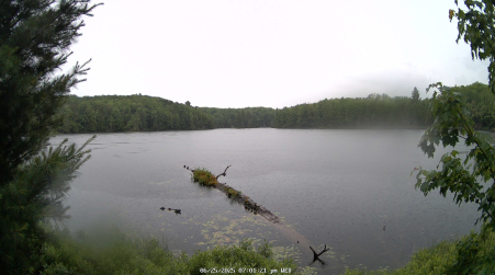 Image from 2025-06-25
