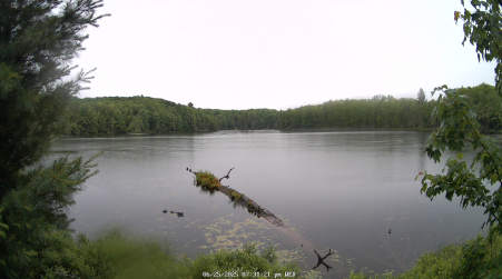 Image from 2025-06-25