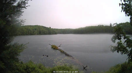 Image from 2025-06-25