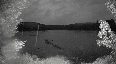 Image from 2025-06-25