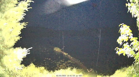 Image from 2025-06-25
