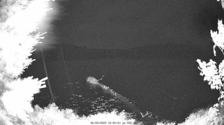 Image from 2025-06-25
