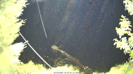 Image from 2025-06-25