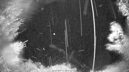 Image from 2025-06-25