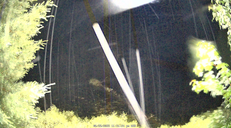 Image from 2025-06-25