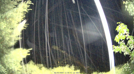 Image from 2025-06-25