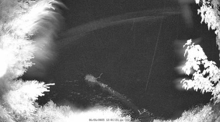 Image from 2025-06-26