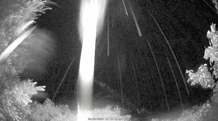 Image from 2025-06-26