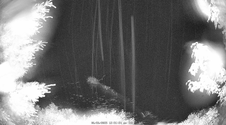 Image from 2025-06-26