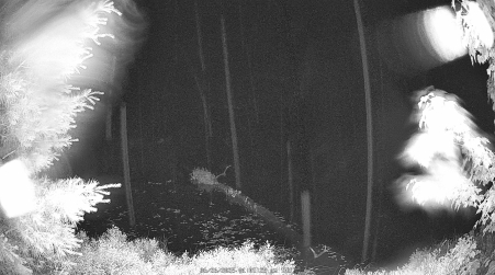 Image from 2025-06-26