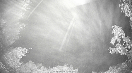 Image from 2025-06-26