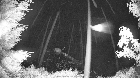 Image from 2025-06-26