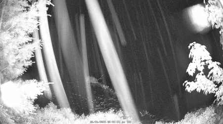 Image from 2025-06-26