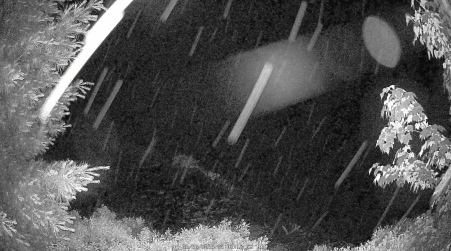 Image from 2025-06-26