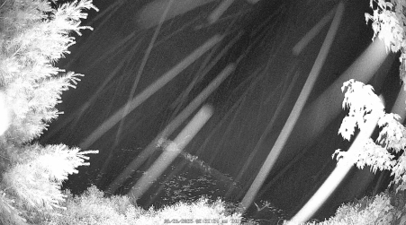 Image from 2025-06-26