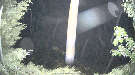 Image from 2025-06-26