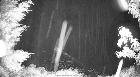 Image from 2025-06-26