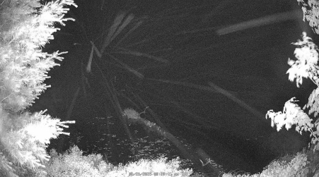 Image from 2025-06-26