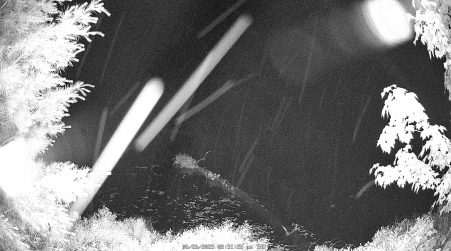 Image from 2025-06-26