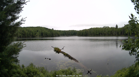 Image from 2025-06-26
