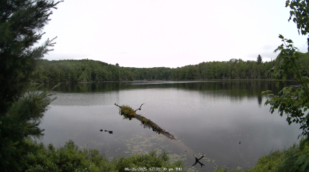 Image from 2025-06-26
