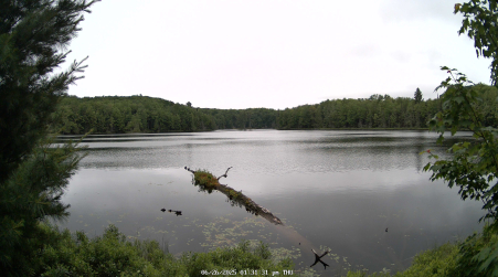 Image from 2025-06-26