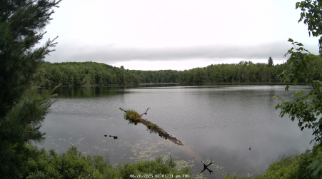 Image from 2025-06-26