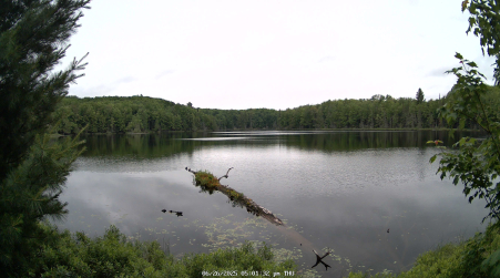 Image from 2025-06-26