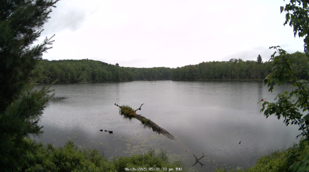 Image from 2025-06-26