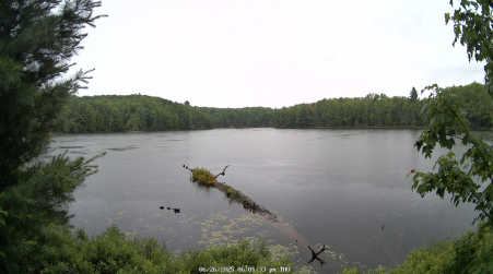 Image from 2025-06-26