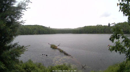 Image from 2025-06-26