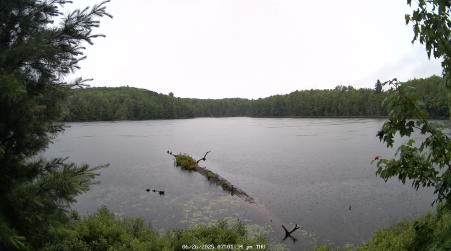 Image from 2025-06-26