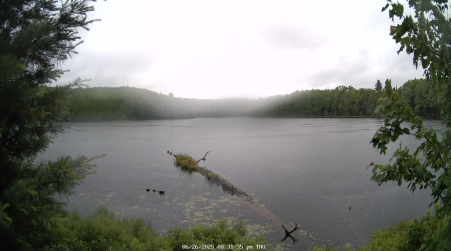Image from 2025-06-26