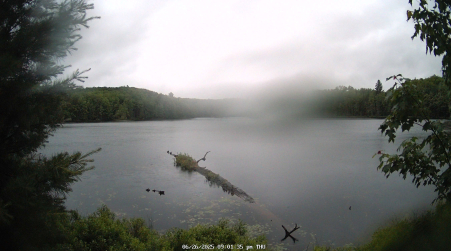 Image from 2025-06-26