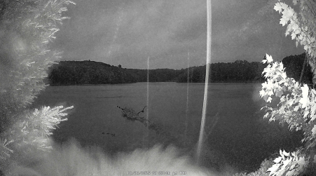 Image from 2025-06-26