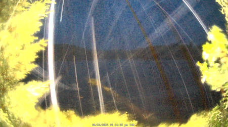 Image from 2025-06-26