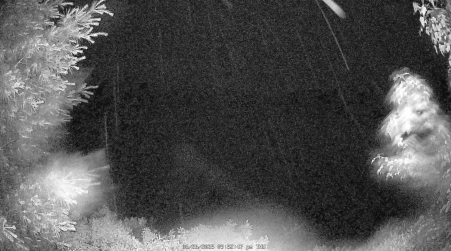 Image from 2025-06-26