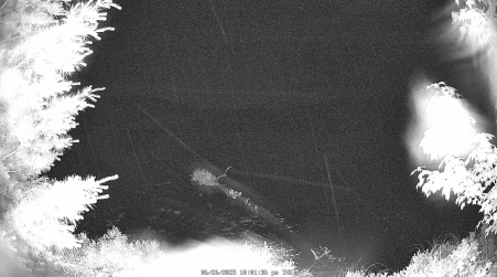 Image from 2025-06-26