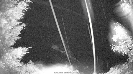 Image from 2025-06-26