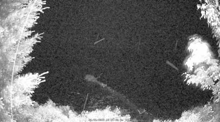 Image from 2025-06-26