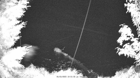 Image from 2025-06-26