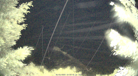 Image from 2025-06-26