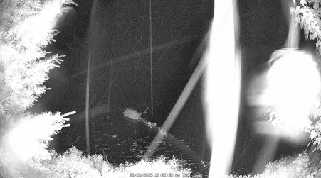Image from 2025-06-26