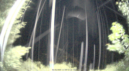Image from 2025-06-26
