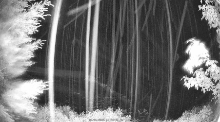 Image from 2025-06-26