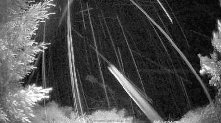 Image from 2025-06-27