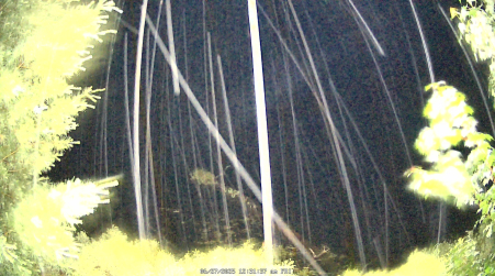 Image from 2025-06-27