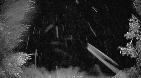 Image from 2025-06-27