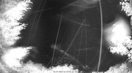 Image from 2025-06-27